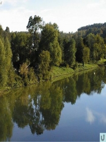 Презентация по окружающему миру по теме Красная книга