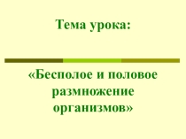 Презентация по биологии Половое и бесполое размножение
