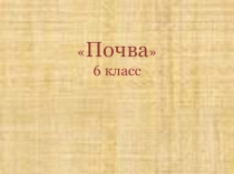 Презентация по географии по теме Почвы (6 класс)