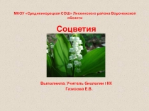 Презентация по биологии на тему Соцветия, 7 класс