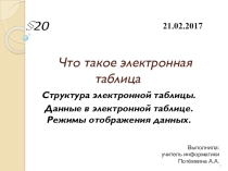 Презентация по информатике на тему Что такое электронная таблица (8 класс)