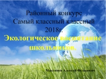 Районный конкурс Самый классный классный. Опыт работы (презентация).