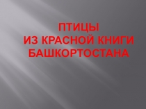 Презентация по башкирскому языку на тему Птицы Башкортостана