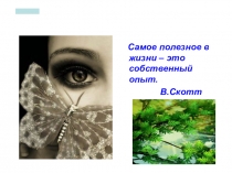 Презентация по биологииОрганоиды клеток