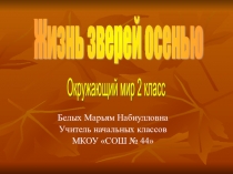 Презентация к уроку окружающего мира Жизнь зверей осенью
