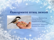 Проект Покормите птиц зимой