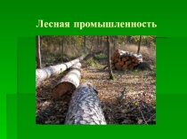 Презентация открытого урока : Лесная промышленность России