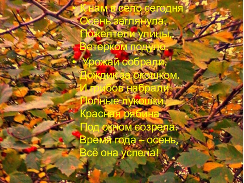 Проект Моя малая родина село Скала К нам в село сегодня Осень заглянула. Пожелтели улицы, Ветерком подуло. К нам в село сегодня Осень заглянула. Пожелтели улицы, Ветерком подуло. Урожай собрали. Дождик за окошком. И