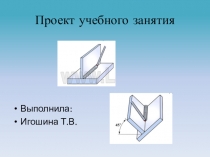 Презентация Проект учебного занятия