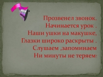 Презентация к уроку по русскому языку Написание слов-названий предметов мужского и женского рода с основой на шипящий звук