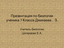 Презентация по биологии на тему Пауки
