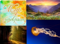 Презентация к классному часу Как прекрасен этот мир