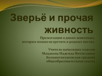Презентация Зверьё и прочая живность.