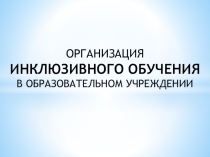 ОРГАНИЗАЦИЯ ИНКЛЮЗИВНОГО ОБУЧЕНИЯ В ОБРАЗОВАТЕЛЬНОМ УЧРЕЖДЕНИИ