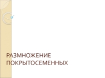 размножение покрытосеменных