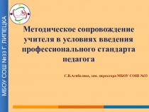 Методическое сопровождение учителя в условиях введения профессионального стандарта педагога