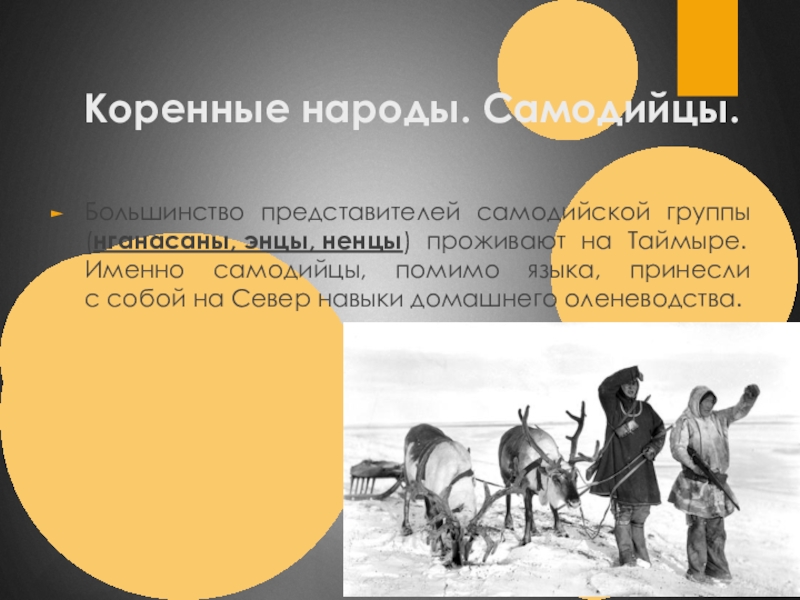 Большинство представителей. Энцы народ доклад. Самодийская группа народы. Самодийская языковая группа народы. Самодийская группа.