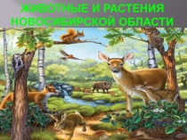 Презентация по окружающему миру на тему Растительный и животный мир Новосибирской области
