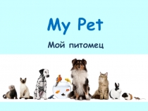 Презентация по английскому языку Питомец