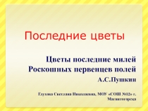 Презентация по русскому языку Последние цветы