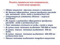 Презентация к уроку Мочевыделительная система