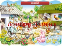 Презентація з англійської мови на тему:  Домашні тваринки