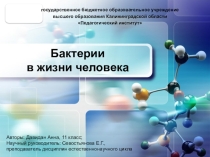 Презентация Бактерии в жизни человека