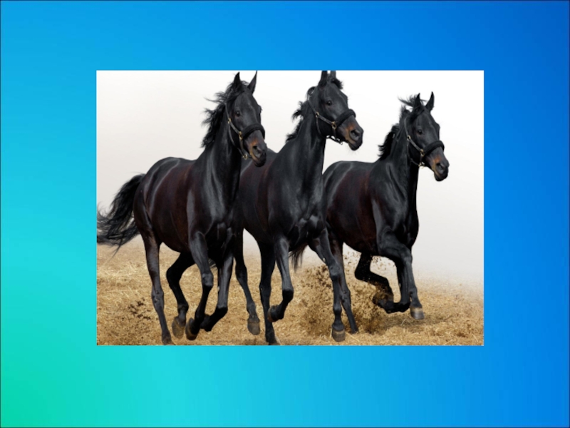 Презентация к занятию Поможем Золушке