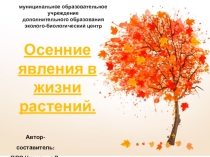 Презентация по экологии Осенние явления в жизни растений