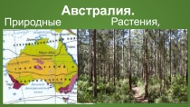 Презентация Природные зоны, растения и животные Австралии