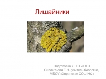 Презентация для подготовки к ОГЭ,ЕГЭ. Тема: Лишайники.