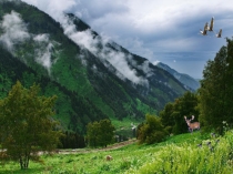 Презентация Шыбынсыз жаз 3 сынып