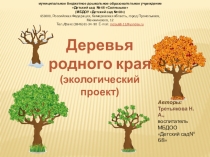 Презентация к выступлению на тему Первые шаги в математику.