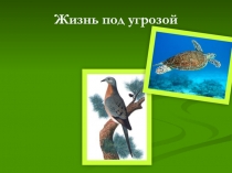 Презентация по окружающему миру на тему : Красная книга (2класс)