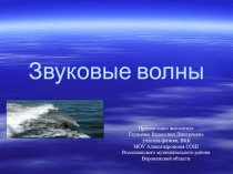 Презентация по физике на тему: Звуковые волны (8 класс)