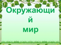 Презентация к уроку окружающего мира по теме Живая и неживая природа