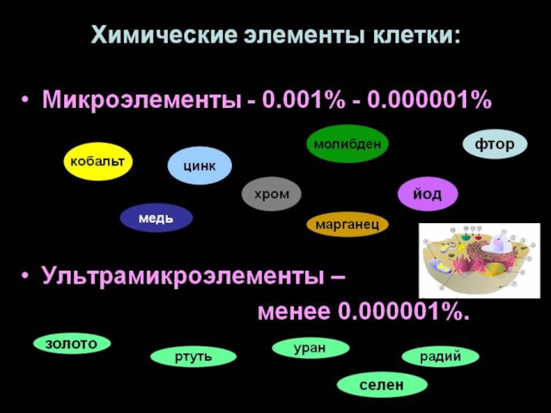 Химический состав клетки презентация 9 класс