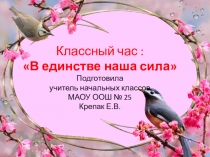 Классный час В единстве - наша сила