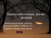 Презентация по экологии Приспособительные ритмы жизни