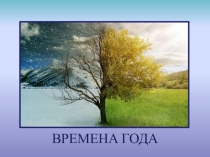 Презентация по окружающему миру на тему: Времена года
