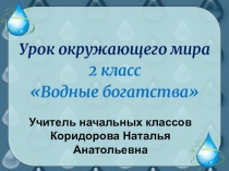 Презентация по окружающему миру на тему :Водные богатства (2 класс)