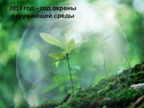 Презентация. Защитим зелёную аптеку