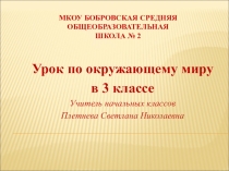 Презентация к уроку окружающего мира для 3 класса Что такое Бенилюкс