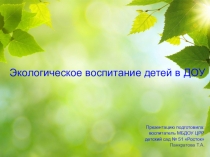 Экологическое воспитание детей в ДОУ