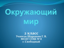 Презентация по окружающему миру на тему Невидимые нити в осеннем лесу. 2 класс. УМК Перспектива