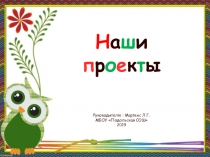 Презентация Проектные работы учащихся