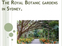 Презентация по английскому языку на тему The Royal Botanic gardens in Sydney