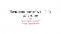 : Домашние животные и их детеныши