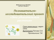 Познавательно-исследовательский проект Эти удивительные растения