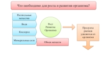 Презентация по биологии Пластический и энергетический обмен (8 класс)